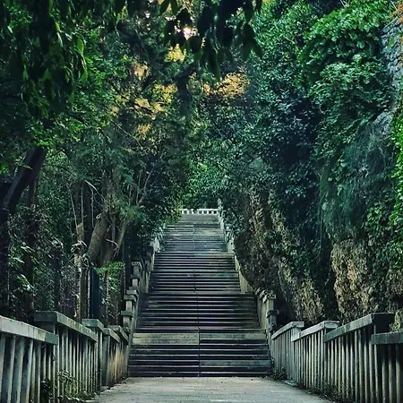 Evala * Split